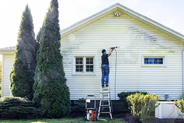 Best Gutter Cleaning  in Mcgaheysville, VA